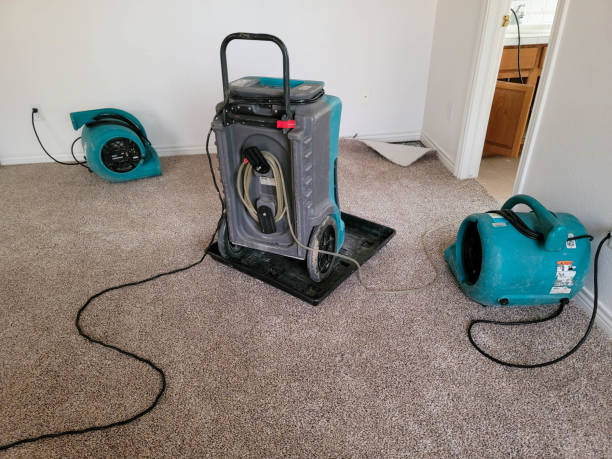 Best Flood restoration services  in Blowing Rock, NC