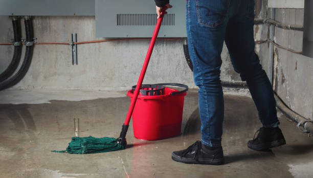 Best 24-hour water damage restoration  in Blowing Rock, NC