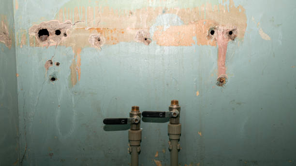 Water damage restoration mold remediation in Blowing Rock, NC