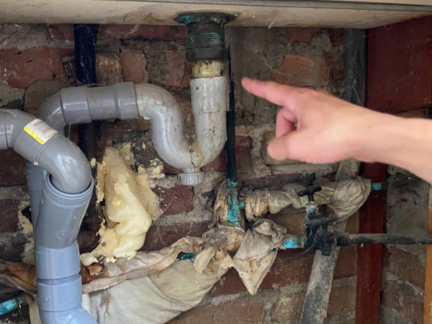 Best 24-hour water damage restoration  in Blowing Rock, NC